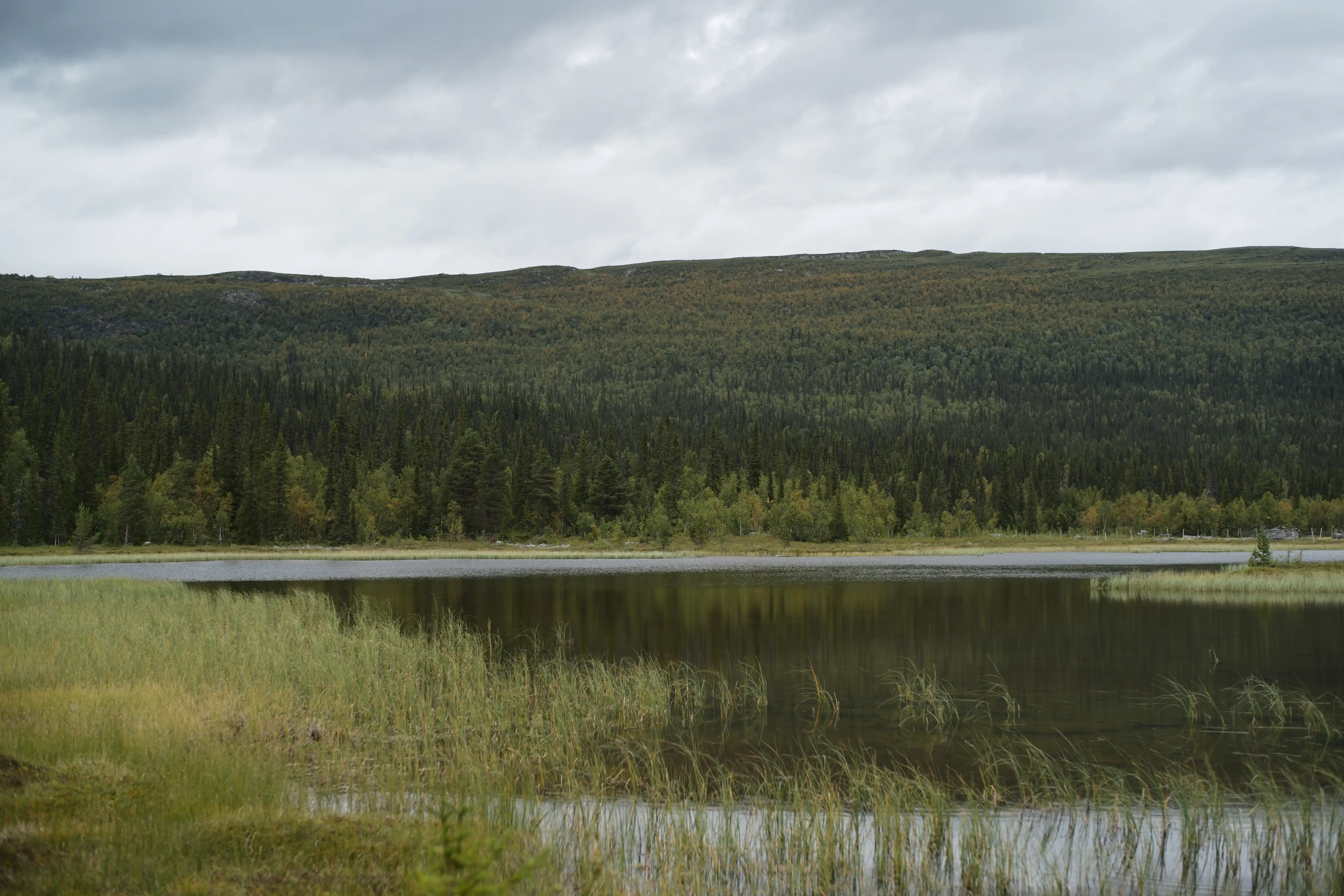 Seeufer-Kvikkjokk-Kungsleden