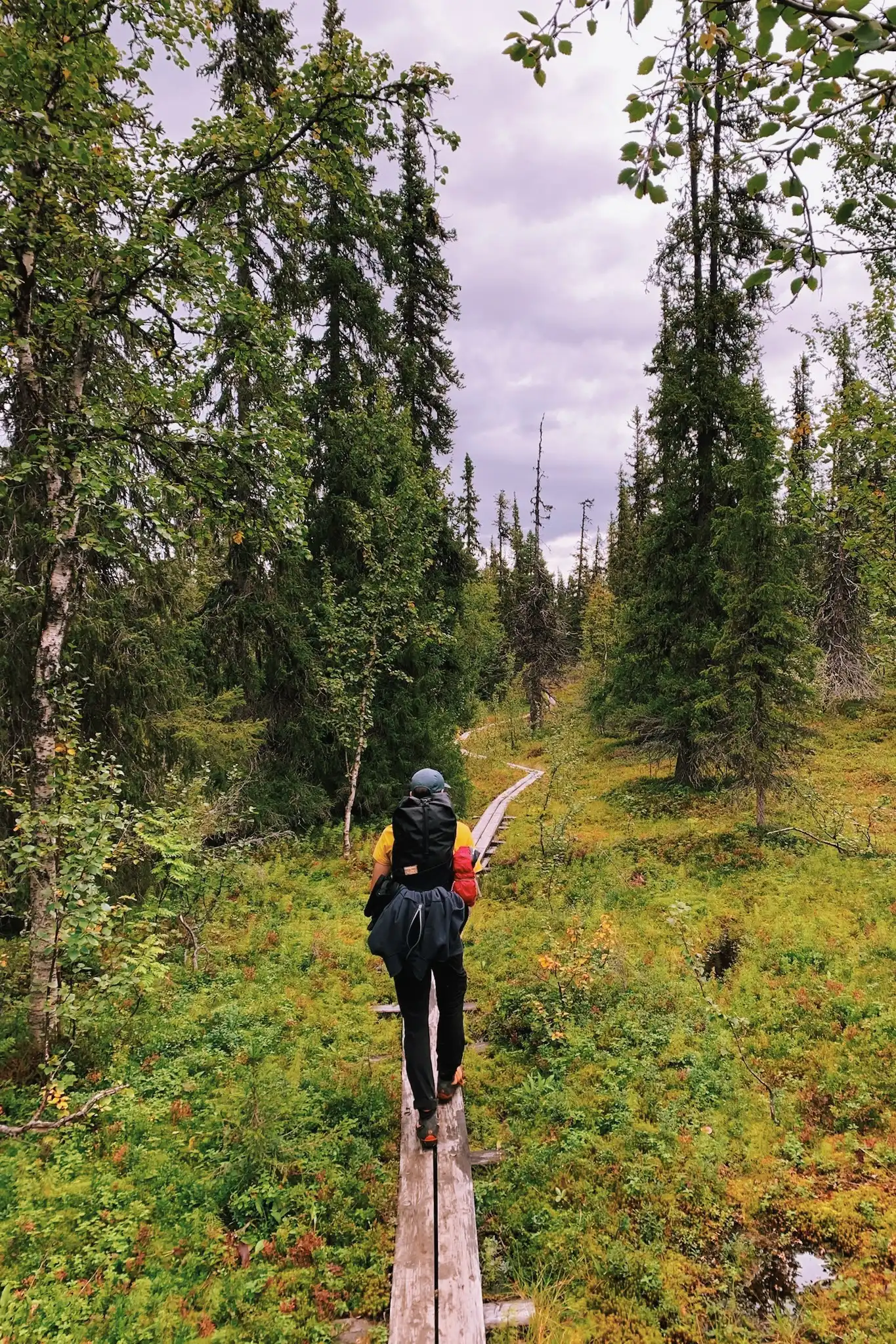 Kungsleden-Trail