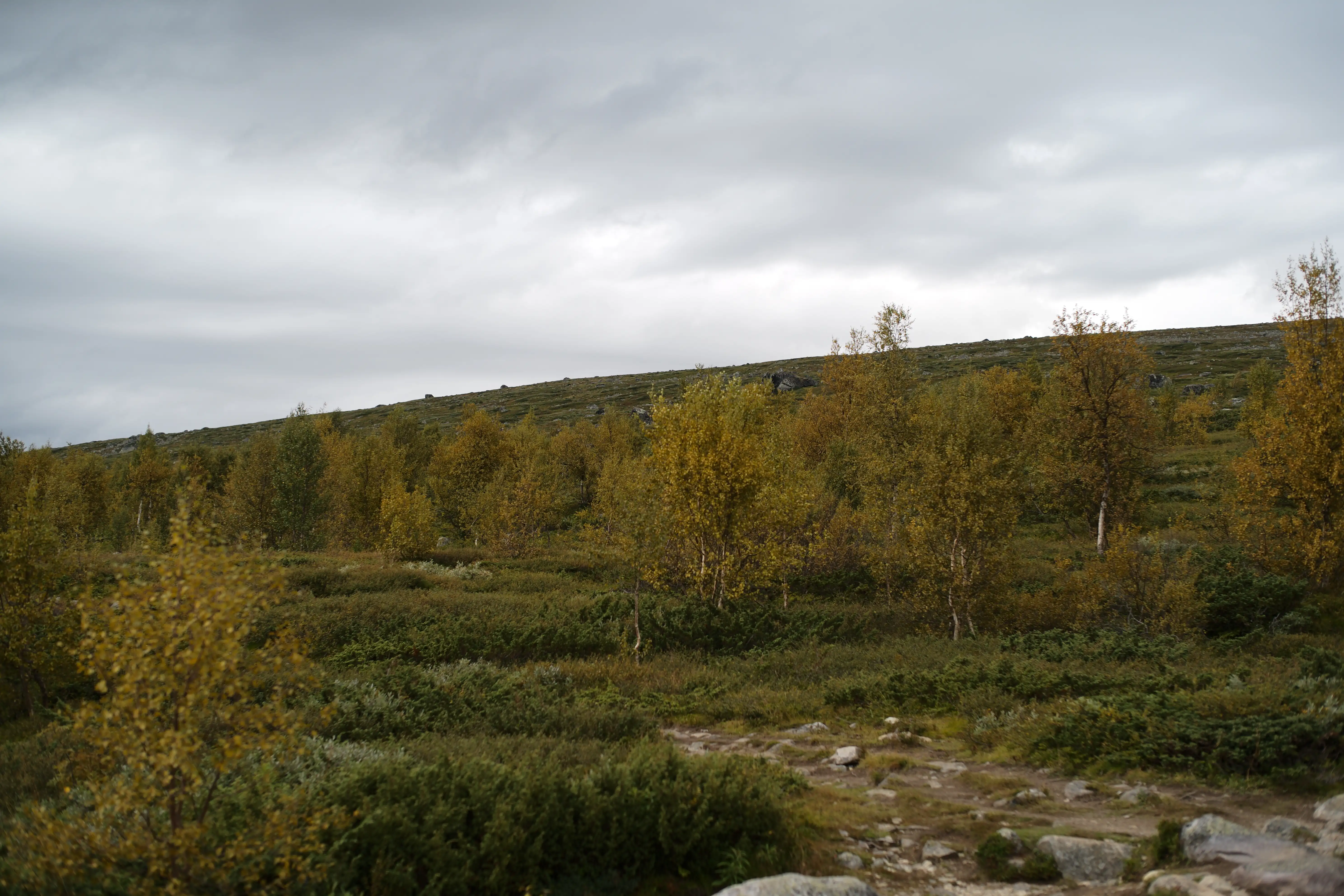 Aufstieg Hochplateau