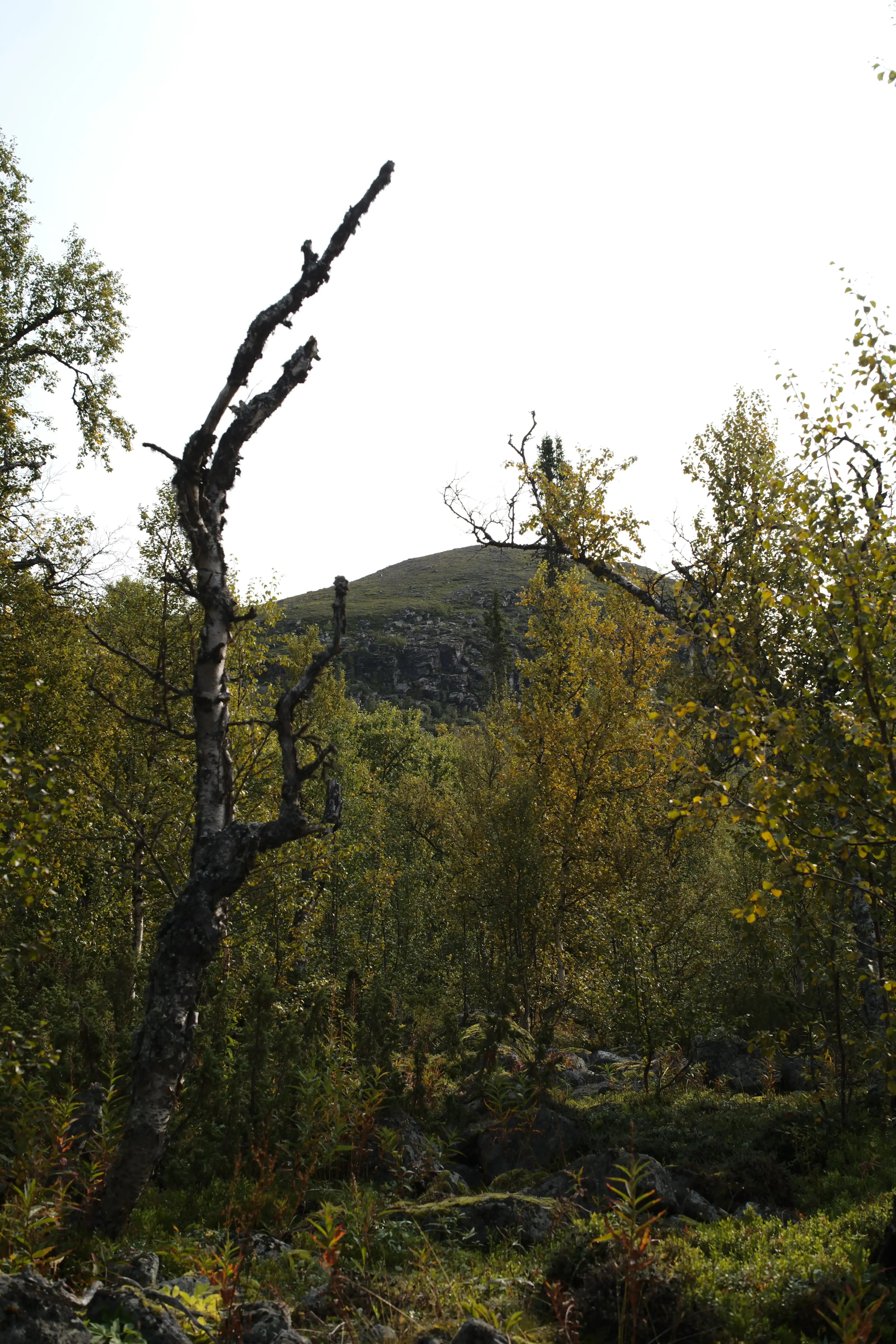 Aufstieg Hochplateau