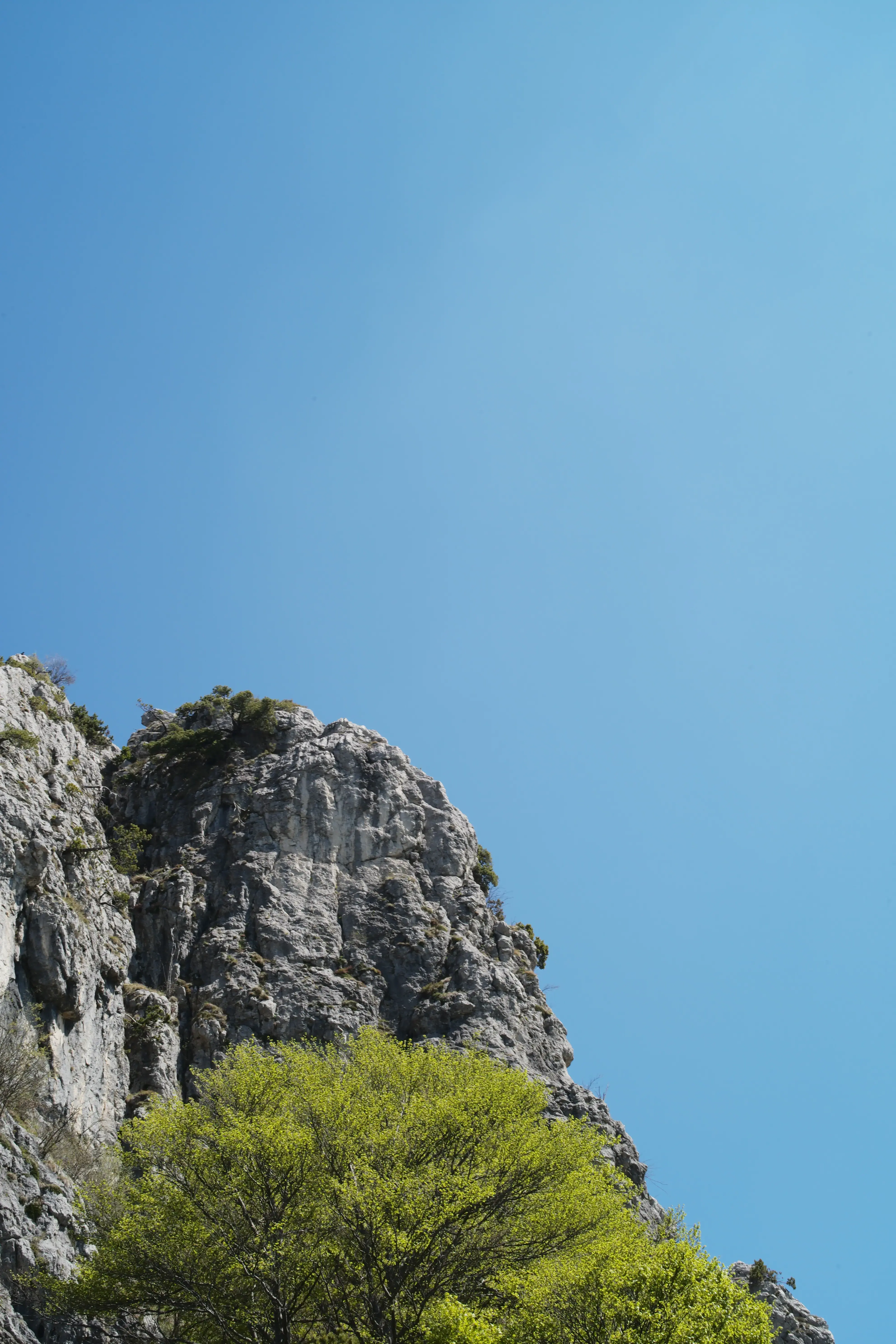 Monte-Boglie